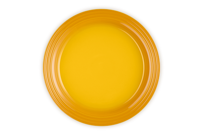 Stoneware Dinner Plate